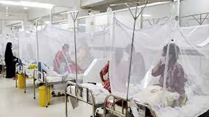 ডেঙ্গুতে মৃত্যু ৩, হাসপাতালে ৫১৫ ডেঙ্গুতে মৃত্যু ৩, হাসপাতালে ৫১৫