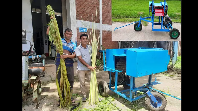 পাটের আঁশ ছাড়ানোর যন্ত্র আবিষ্কার করলো বারি’র বিজ্ঞানীরা পাটের আঁশ ছাড়ানোর যন্ত্র আবিষ্কার করলো বারি’র বিজ্ঞানীরা