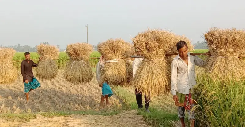 চরম তাপমাত্রায় ৬০ হাজার কোটি টাকার শ্রম উৎপাদনশীলতা হারাচ্ছে ঢাকা চরম তাপমাত্রায় ৬০ হাজার কোটি টাকার শ্রম উৎপাদনশীলতা হারাচ্ছে ঢাকা