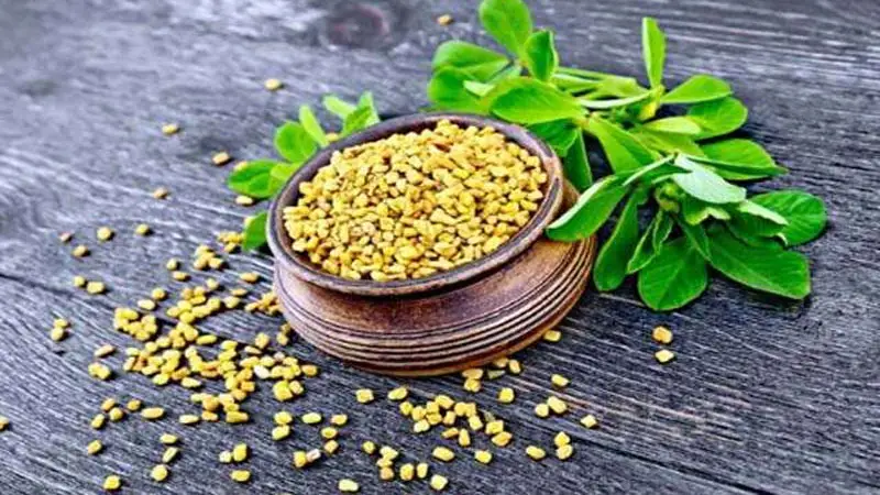 মেথির যত উপকার মেথির যত উপকার