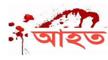 দৌলতপুরে অটোরিক্সা উল্টে একই পরিবারের আহত ৮