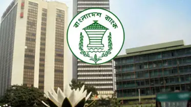 কালো টাকা বৈধভাবে দেশে আনার উপায় 