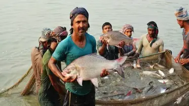 মাছ চাষে বিশ্বে তৃতীয় বাংলাদেশ