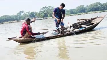 বাউফলে তেঁতুলিয়া নদী থেকে ইলিশ উধাও!