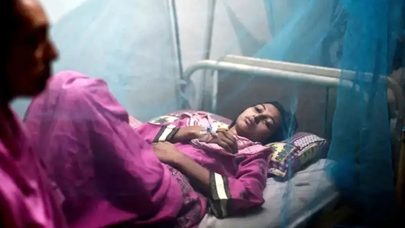 ডেঙ্গুতে আক্রান্ত হয়ে ৪৪০ জন হাসপাতালে ভর্তি ডেঙ্গুতে আক্রান্ত হয়ে ৪৪০ জন হাসপাতালে ভর্তি