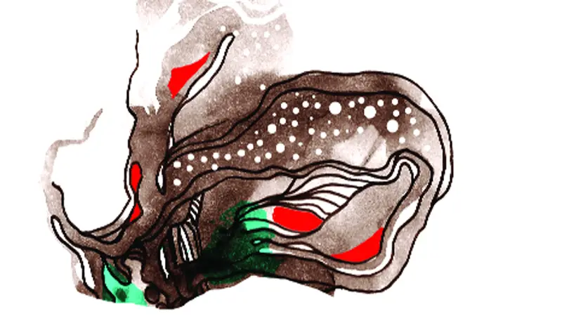 কবিতা কবিতা