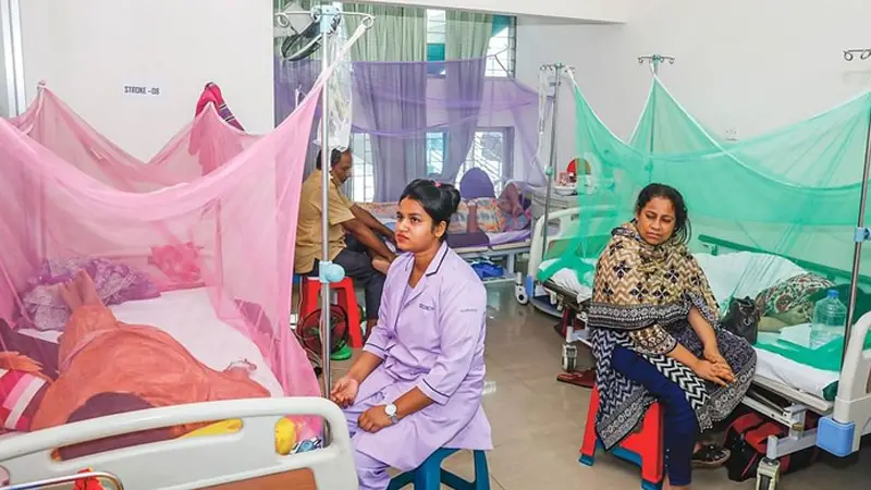ডেঙ্গুতে একদিনে মৃত্যু ৮, হাসপাতালে ভর্তি আরও ৬৯২ ডেঙ্গুতে একদিনে মৃত্যু ৮, হাসপাতালে ভর্তি আরও ৬৯২