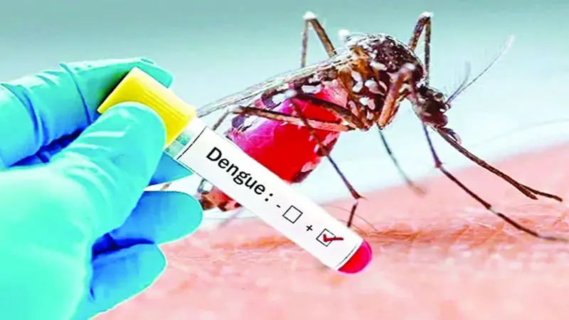 ডেঙ্গুতে নতুন ৫৬৮ রোগী হাসপাতালে, মৃত্যু ২ ডেঙ্গুতে নতুন ৫৬৮ রোগী হাসপাতালে, মৃত্যু ২