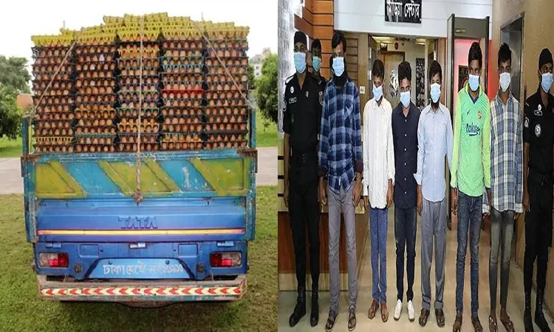 ডিমবোঝাই পিকআপ ভ্যানে ডাকাতি, গ্রেফতার ৬ ডিমবোঝাই পিকআপ ভ্যানে ডাকাতি, গ্রেফতার ৬