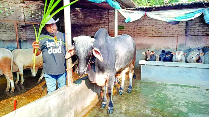 শিল্পী যখন খামারি শিল্পী যখন খামারি