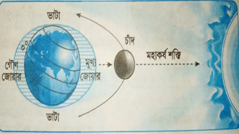 পঞ্চম শ্রেণির পড়ালেখা