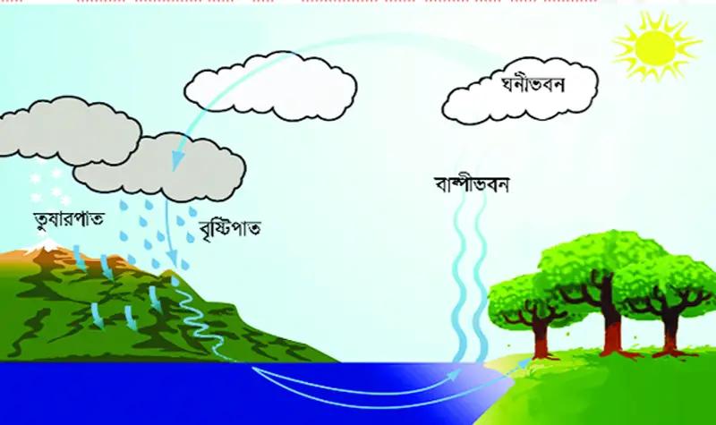 পঞ্চম শ্রেণির পড়াশোনা