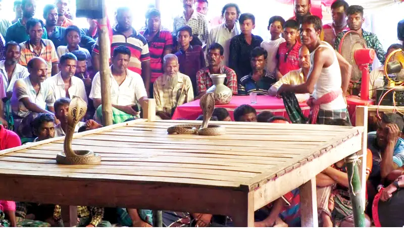 ঝিনাইদহে ঝাঁপানো খেলা দেখতে হাজারো মানুষের ভিড় ঝিনাইদহে ঝাঁপানো খেলা দেখতে হাজারো মানুষের ভিড়