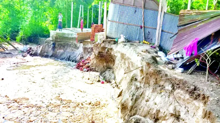 মেঘনার তীব্র ভাঙ্গনে বিলীন কয়েক শ’ বসতভিটা মেঘনার তীব্র ভাঙ্গনে বিলীন কয়েক শ’ বসতভিটা