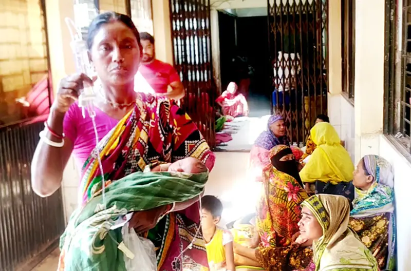 তেঁতুলিয়া ইকোপার্কে মারা গেল চিত্রা হরিণ তেঁতুলিয়া ইকোপার্কে মারা গেল চিত্রা হরিণ
