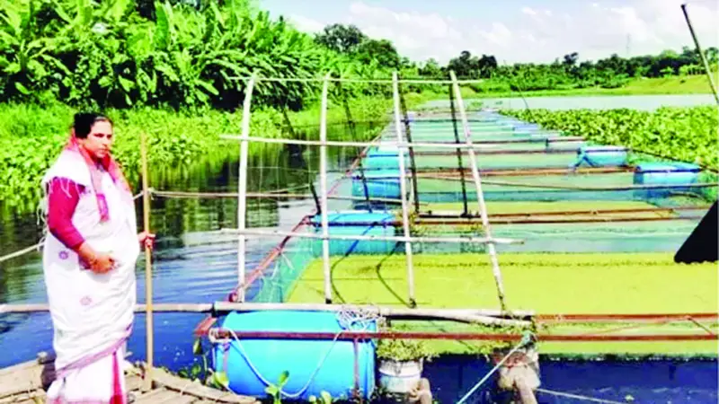 সফল মৎস্য উদ্যোক্তা যশোরের শিল্পী সফল মৎস্য উদ্যোক্তা যশোরের শিল্পী
