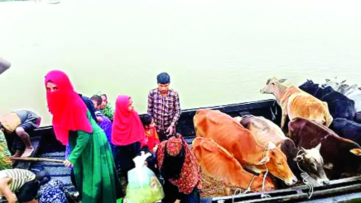 সিলেট-সুনামগঞ্জে সুফিয়াদের সংগ্রাম...