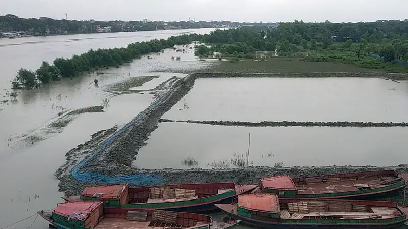 ইলিশের অভয়াশ্রম আন্ধারমানিক নদীতে চলছে দখল তান্ডব 