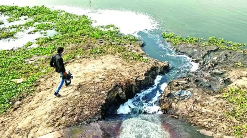 ট্যানারির দূষণ বন্ধে শিল্প ও বাণিজ্য সচিবকে তলব করা হবে ট্যানারির দূষণ বন্ধে শিল্প ও বাণিজ্য সচিবকে তলব করা হবে