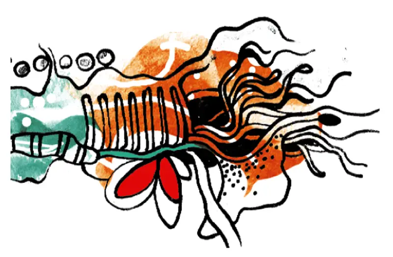 কবিতা কবিতা
