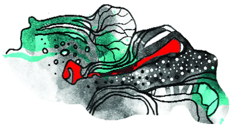 কবিতা কবিতা