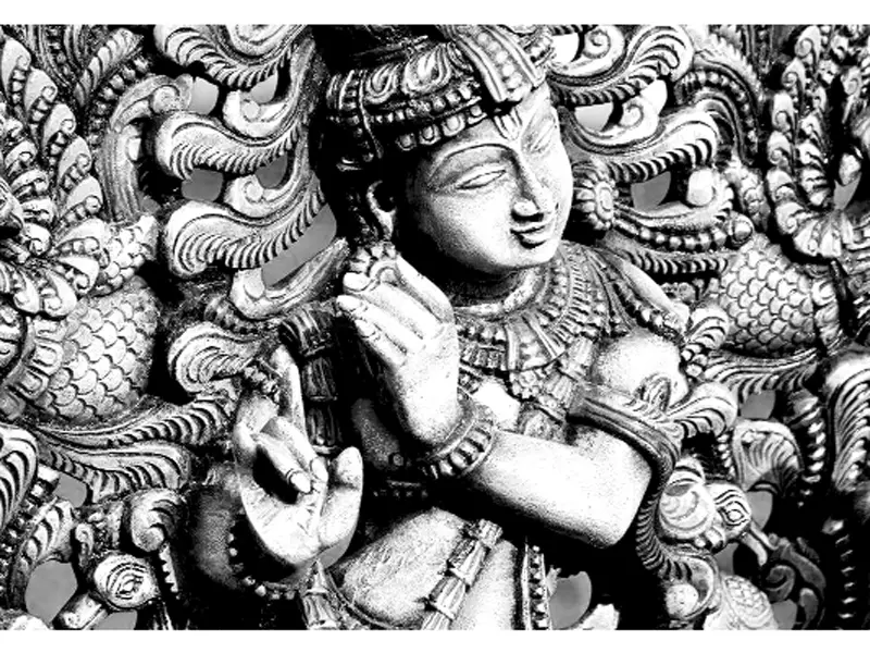 ভগবান শ্রীকৃষ্ণের আবির্ভাব ভগবান শ্রীকৃষ্ণের আবির্ভাব