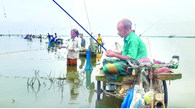বড়শিতে গেঁথে তোলা... বড়শিতে গেঁথে তোলা...