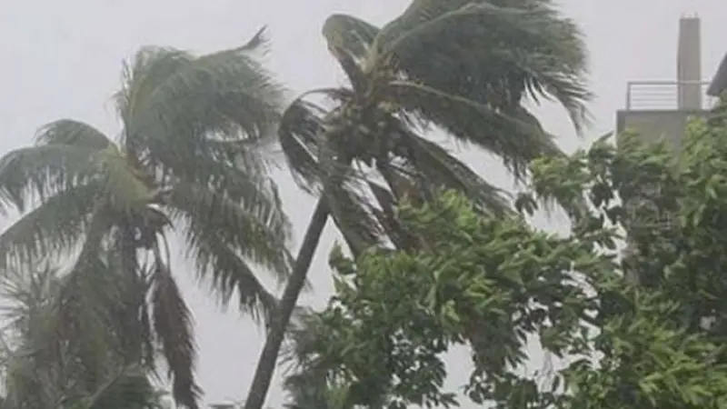 কালবৈশাখী ঝড়ে গাছ চাপায় কিশোর নিহত কালবৈশাখী ঝড়ে গাছ চাপায় কিশোর নিহত
