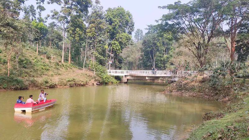 প্রকৃতির সবুজ লীলা ভূমি মধুটিলা ইকোপার্ক