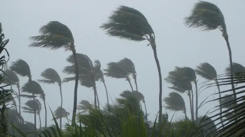 ঘণ্টায় ৬০ কিলোমিটার বেগে ঝড় হতে পারে