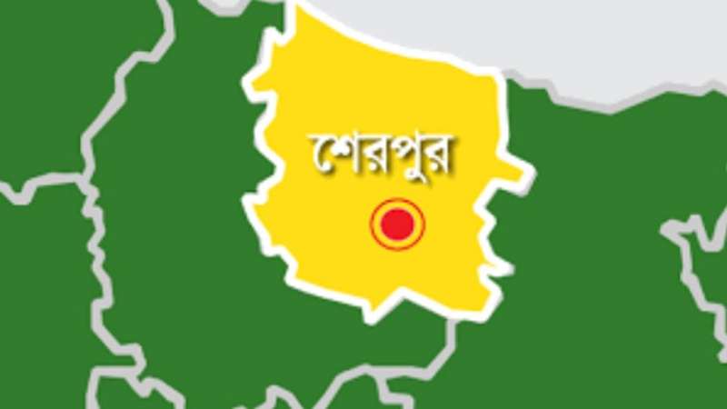 নালিতাবাড়ীতে সাপের ছোবলে প্রাণ গেল কৃষকের নালিতাবাড়ীতে সাপের ছোবলে প্রাণ গেল কৃষকের