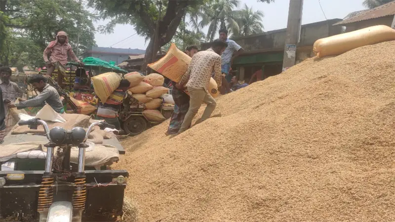 নালিতাবাড়ীতে প্রতিমণ ধানে দুই কেজি ঢলতার ফাঁদে কৃষক নালিতাবাড়ীতে প্রতিমণ ধানে দুই কেজি ঢলতার ফাঁদে কৃষক