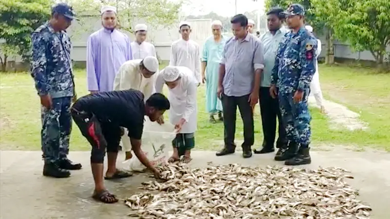 মেঘনায় বোটসহ ৩০ মণ পাঙ্গাসের পোনা জব্দ মেঘনায় বোটসহ ৩০ মণ পাঙ্গাসের পোনা জব্দ