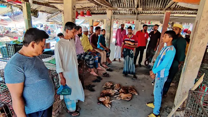 পৌরসভার সঙ্গে খাজনা নিয়ে বিরোধ, মুরগি বিক্রি বন্ধ 