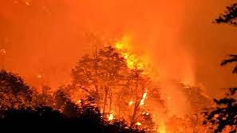 চিলিতে দাবানলে ১৩ জন নিহত চিলিতে দাবানলে ১৩ জন নিহত