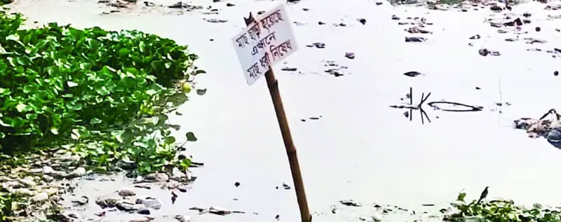 পদ্মায় অবৈধ বাঁধ দিয়ে মাছ চাষ, দেখার কেউ নেই পদ্মায় অবৈধ বাঁধ দিয়ে মাছ চাষ, দেখার কেউ নেই