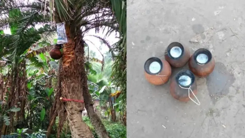দেশের ২৮ জেলায় ছড়িয়েছে নিপাহ ভাইরাস দেশের ২৮ জেলায় ছড়িয়েছে নিপাহ ভাইরাস