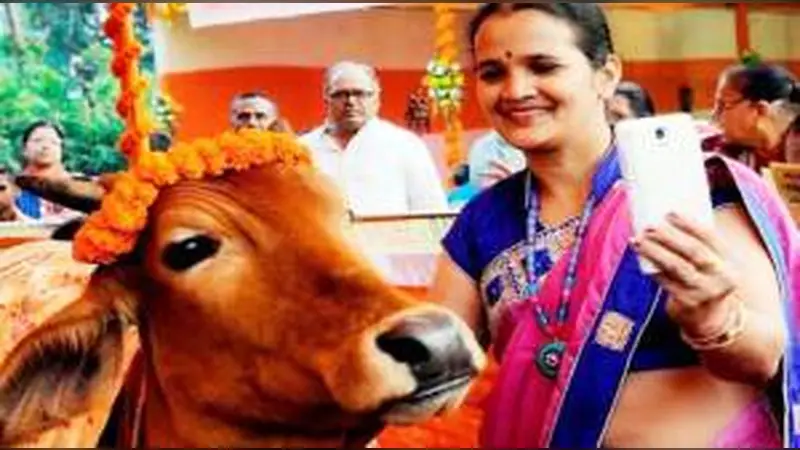 ভালোবাসা দিবসে গরু জড়িয়ে ধরে সেলফি তোলার আহ্বান ভালোবাসা দিবসে গরু জড়িয়ে ধরে সেলফি তোলার আহ্বান