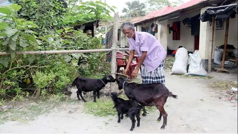 শেখ হাসিনার উপহারের ঘর, বদলে গেল বলরাম সালেহাদের জীবনের গল্প শেখ হাসিনার উপহারের ঘর, বদলে গেল বলরাম সালেহাদের জীবনের গল্প