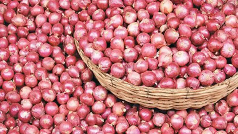 পেঁয়াজ আমদানির অনুমতি চেয়ে কৃষি মন্ত্রণালয়ে চিঠি পেঁয়াজ আমদানির অনুমতি চেয়ে কৃষি মন্ত্রণালয়ে চিঠি