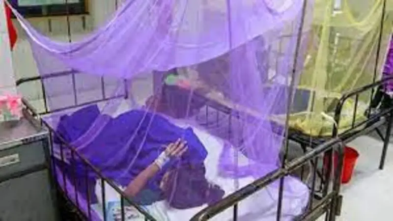 ডেঙ্গুতে আক্রান্ত হয়ে হাসপাতালে ২ ডেঙ্গুতে আক্রান্ত হয়ে হাসপাতালে ২