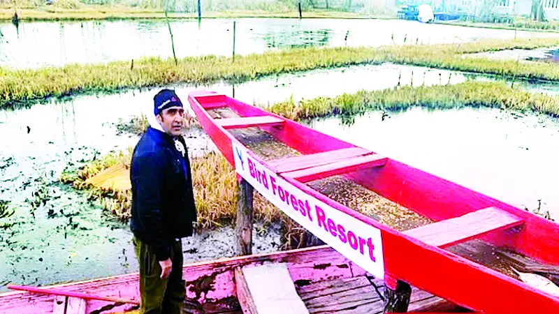বার্ডস ফরেস্ট রিসোর্ট বার্ডস ফরেস্ট রিসোর্ট