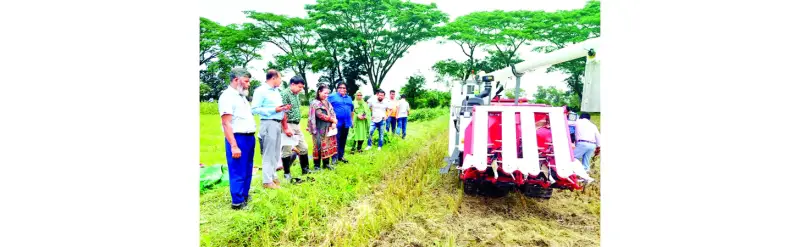 আমনে যান্ত্রিকীকরণ, সাশ্রয় ১১শ’ কোটি আমনে যান্ত্রিকীকরণ, সাশ্রয় ১১শ’ কোটি