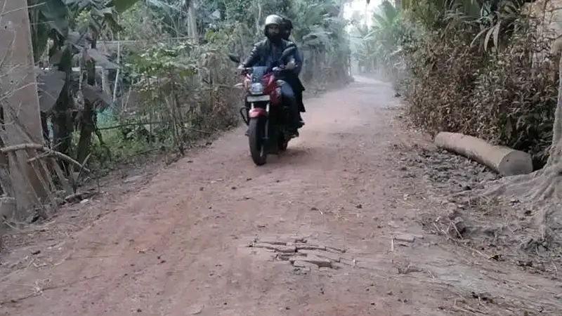 ভরপাশা সড়ক মেরামতের কেউ নেই ভরপাশা সড়ক মেরামতের কেউ নেই