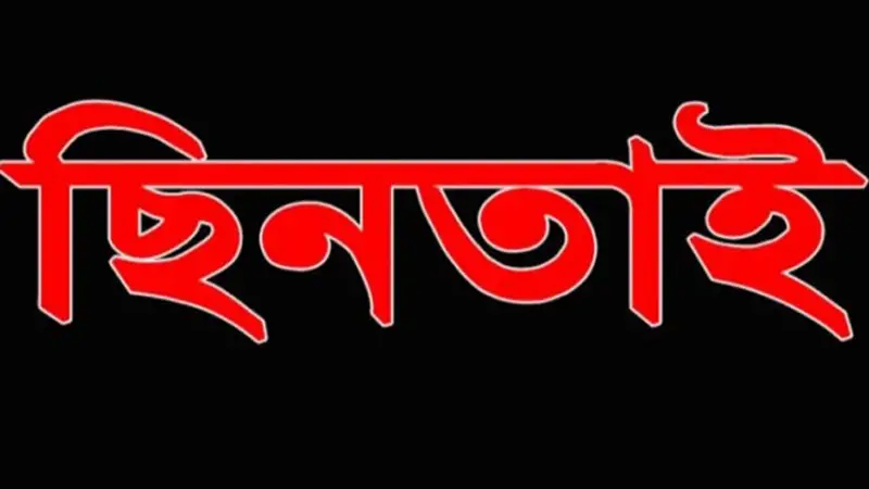 পুলিশ পরিচয়ে ইজিবাইক ছিনতাইয়ের চেষ্টা, গ্রেফতার ২