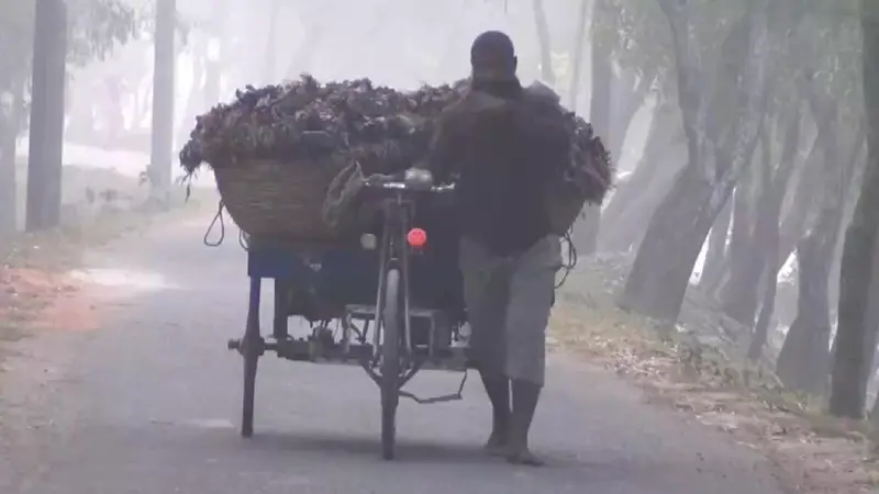 তীব্র ঠাণ্ডায় নাস্তানাবুদ পঞ্চগড়ের জনজীবন