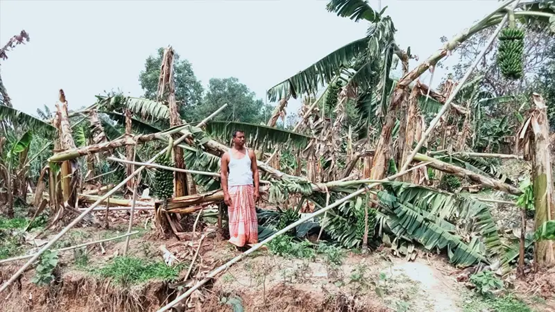 মধুপুরে কালবৈশাখী ঝড়ে ব্যাপক ক্ষয়ক্ষতি 