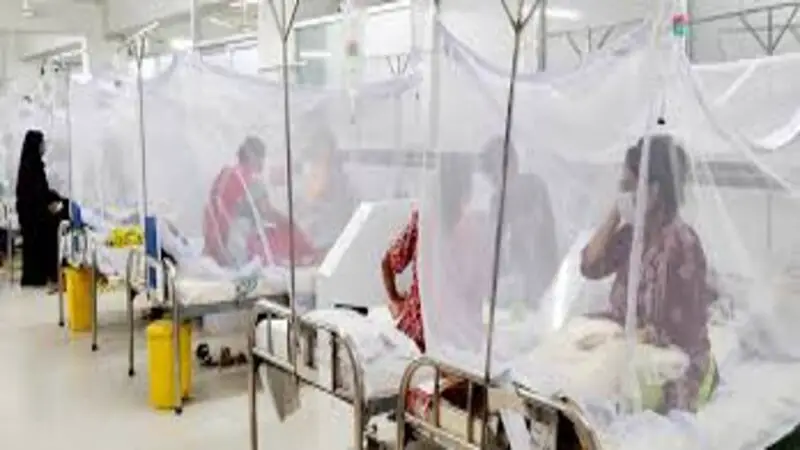 একদিনে ডেঙ্গু আক্রান্ত হয়ে হাসপাতালে ১৩ একদিনে ডেঙ্গু আক্রান্ত হয়ে হাসপাতালে ১৩