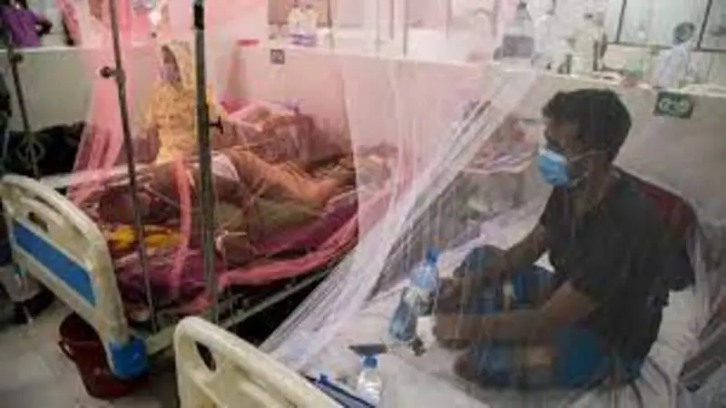 হাসপাতালে আরও ১৪ ডেঙ্গু রোগী হাসপাতালে আরও ১৪ ডেঙ্গু রোগী