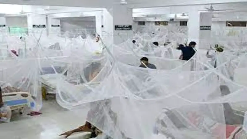 ডেঙ্গুতে আক্রান্ত হয়ে হাসপাতালে ৮ ডেঙ্গুতে আক্রান্ত হয়ে হাসপাতালে ৮